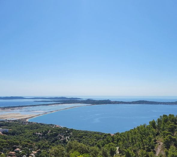 To answer your questions The FAQ