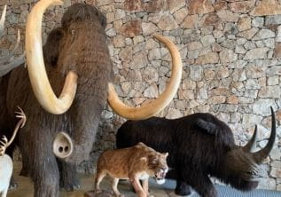 Museum of Prehistory and historic cave – Quinson