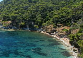 Beach “Darboussières”