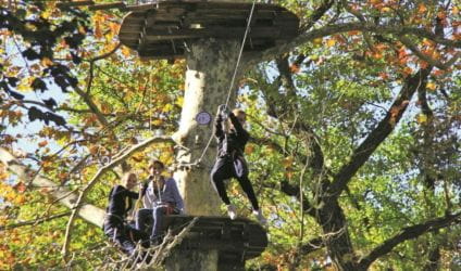 Tree climbing and jumping